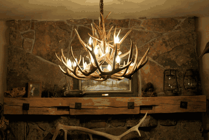 8 Light Reagan Tall Mule Deer Antler Chandelier 36"H