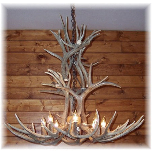 12 Light Reagan Tall Mule Deer Antler Chandelier 42"