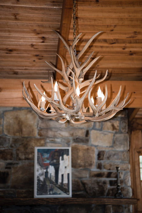 8 Light Reagan Tall Mule Deer Antler Chandelier 20"H