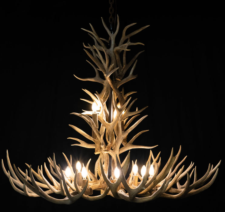 12 Light Reagan Tall Mule Deer Antler Chandelier 42"